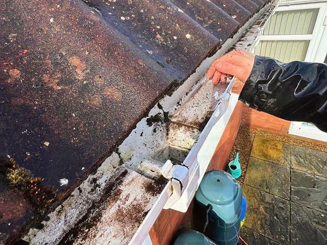 Gutter Cleaning Services in Lowestoft